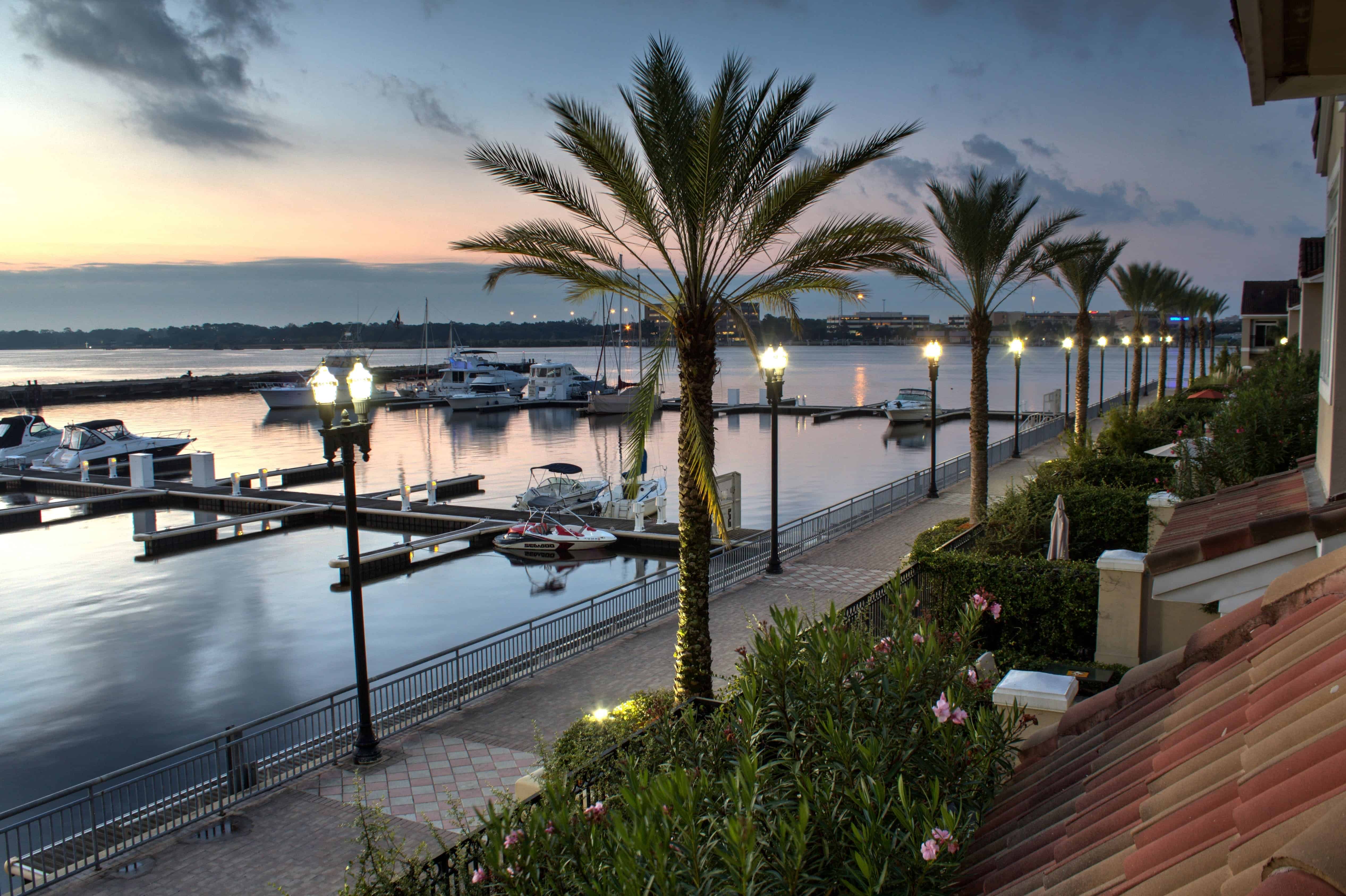 Image for Tampa Neighborhoods for Young Professionals