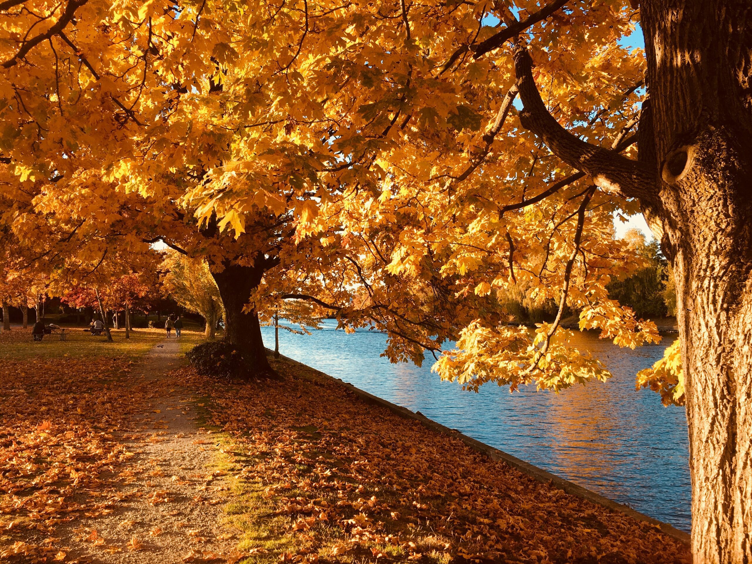 Image for Fall Activities in Denver, CO: 12 Must-Do Autumn Adventures in the Mile High City