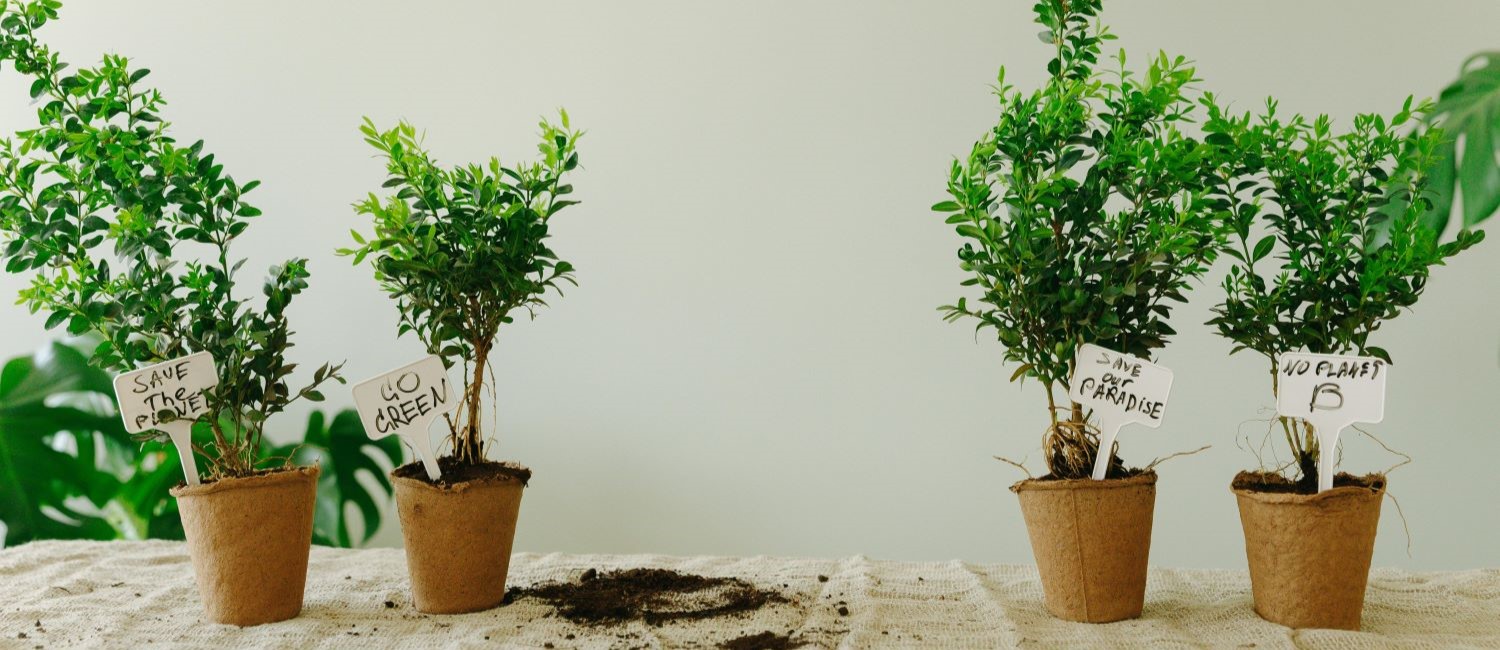Image for 13 Ways To Incorporate Zero-Waste Living Into Your Home