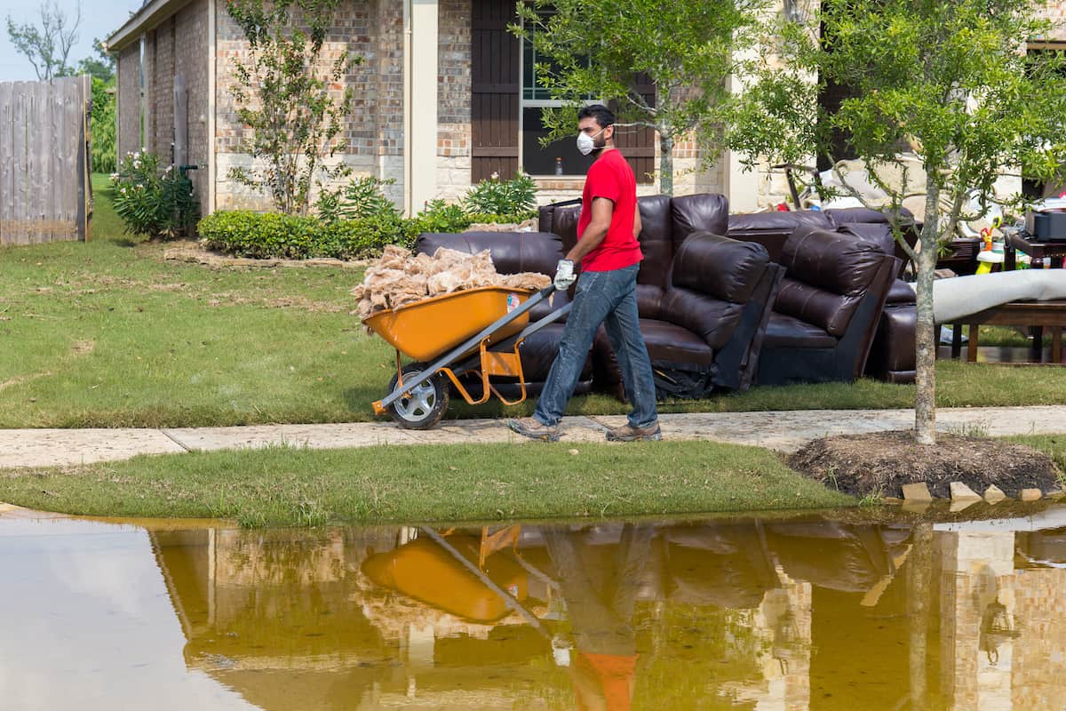 flood cleanup