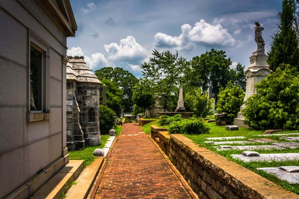 Image for Get Your Halloween On at These Spooky Events Around Atlanta
