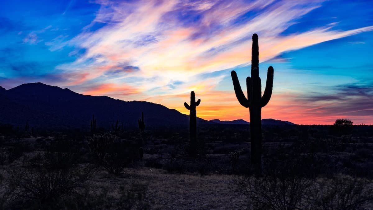 Image for Phoenix Neighborhoods Where Prices are Increasing the Most