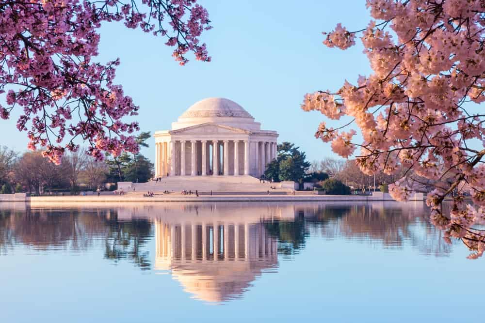 Image for Affordable Apartments Near Good Schools in Washington D.C.