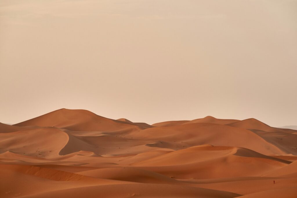 2025 oscars best picture nominees like Dune Part Two are nominated in a few categories. The Dune team is predicted to take something home.